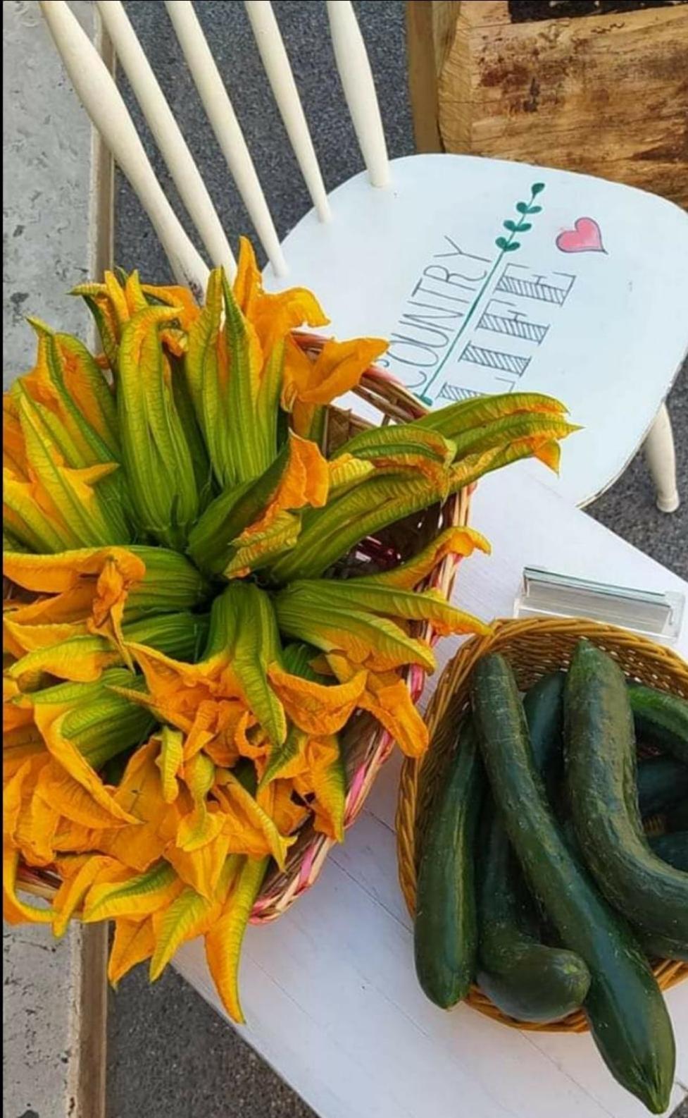 Azienda Agricola Biologica La Cardellina Tolfa Exterior foto