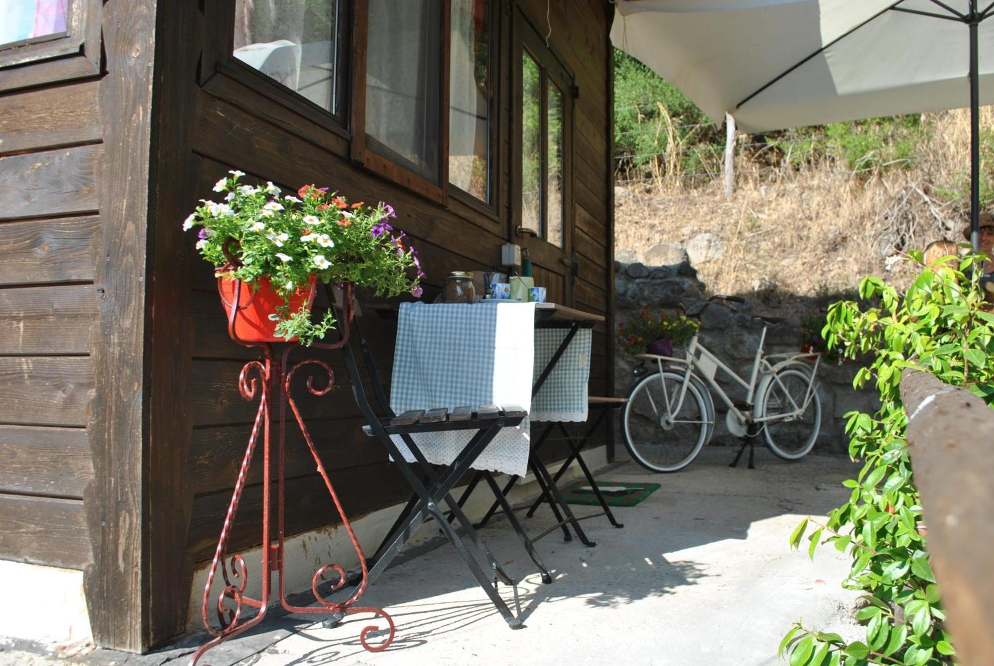 Azienda Agricola Biologica La Cardellina Tolfa Exterior foto
